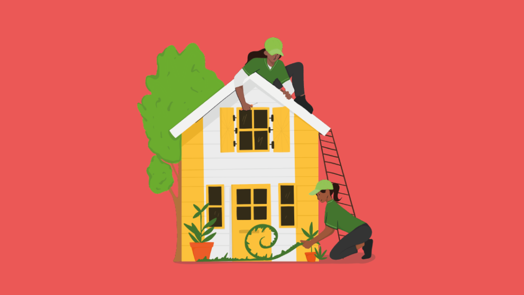 Summer Garden Tips – 5 cost effective ways to make your garden shine